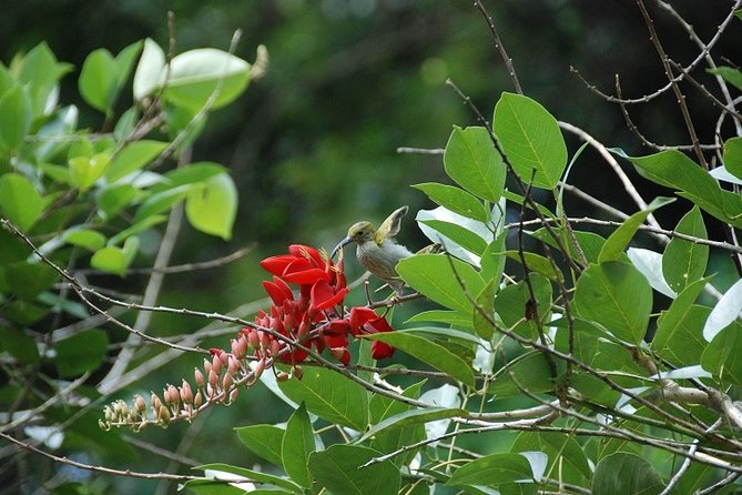 4-Day Jungle Experience in Taman Negara from Kuala Lumpur - Why the long route into Taman Negara matters