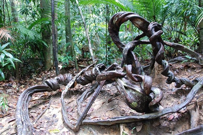 4-Day Jungle Experience in Taman Negara from Kuala Lumpur - The canopy walk needs a careful check