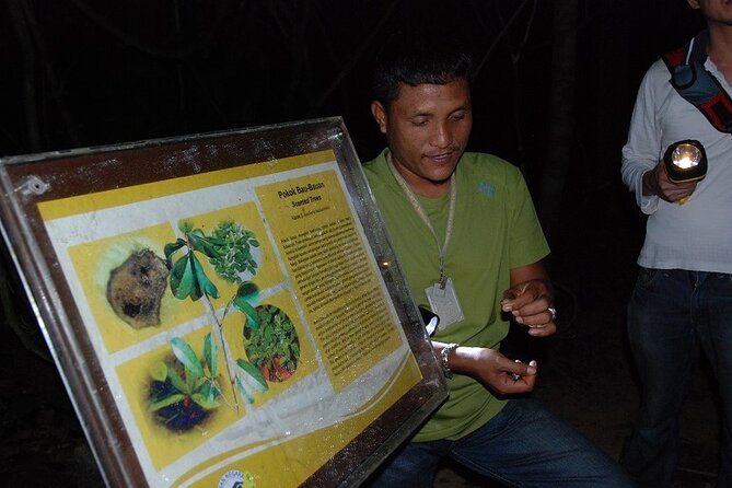 4-Day Jungle Experience in Taman Negara from Kuala Lumpur - Teresek Hill rewards an early start