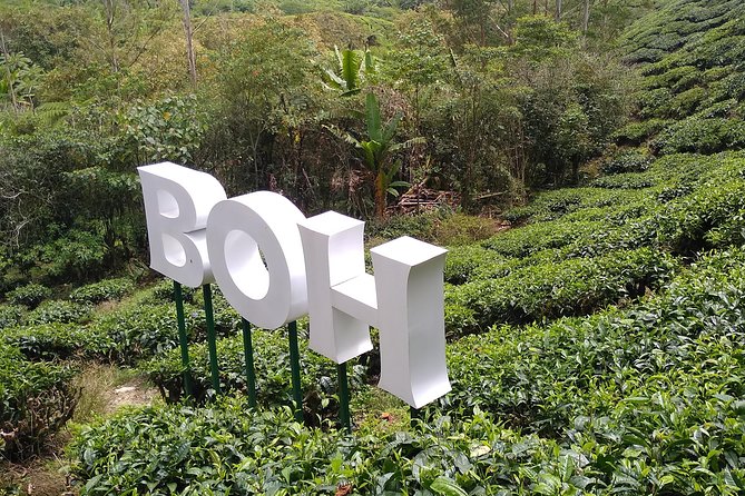Amazing Cameron Highland Day Tour From Kuala Lumpur - Why Cameron Highlands works as a day trip from Kuala Lumpur
