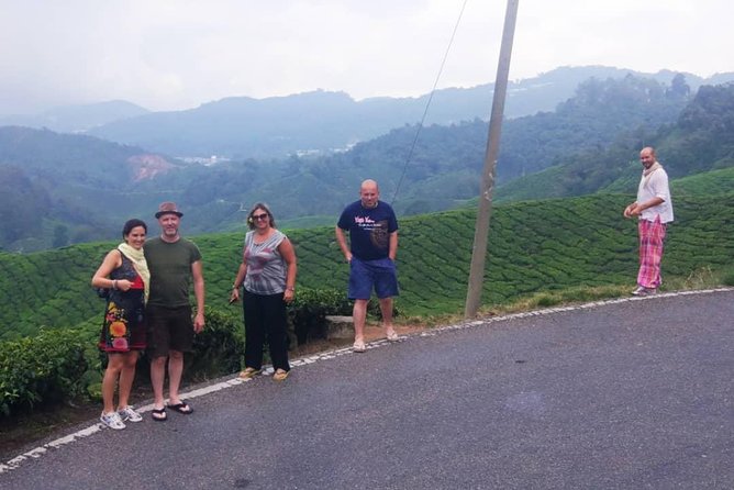 Amazing Cameron Highland Day Tour From Kuala Lumpur - Cameron Lavender is colorful but depends on timing
