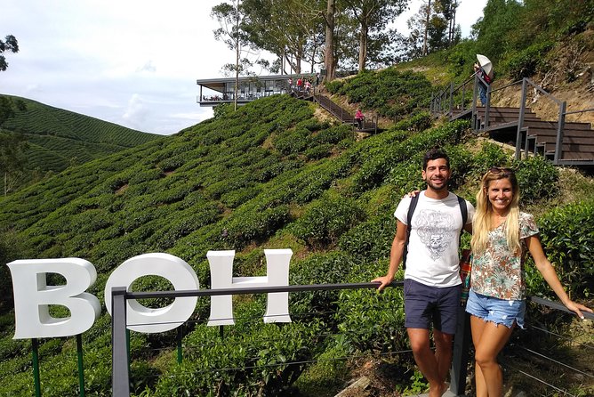 Amazing Cameron Highland Day Tour From Kuala Lumpur - What the $79 price really covers