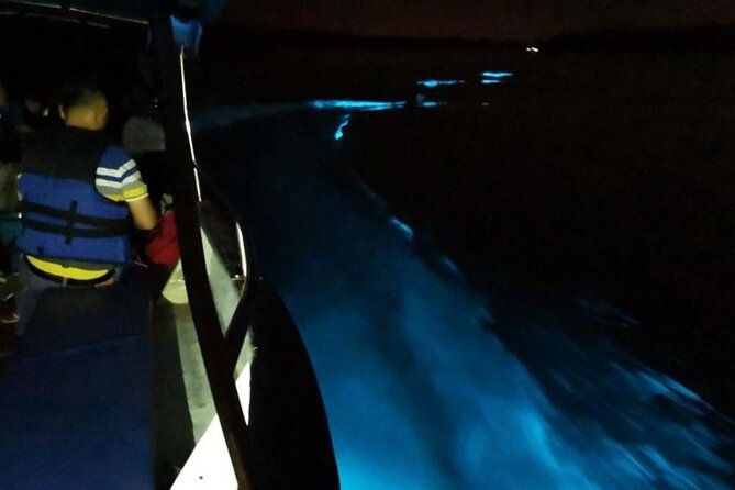 Amazing Fireflies With Blue Tears Watching & Kuala Selangor Tour - How the tour handles weather and timing