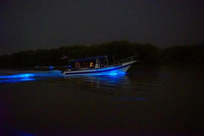Amazing Fireflies With Blue Tears Watching & Kuala Selangor Tour - Who will enjoy this evening most
