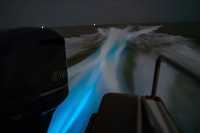 Amazing Fireflies With Blue Tears Watching & Kuala Selangor Tour - The optional eagle and dinner additions