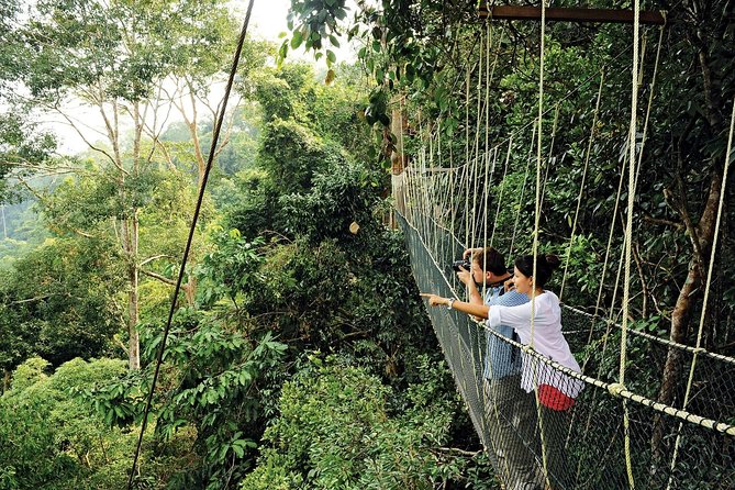 Amazing Taman Negara Day Trip from Kuala Lumpur Including Lunch - Seeing Taman Negara from the 530-meter canopy bridge