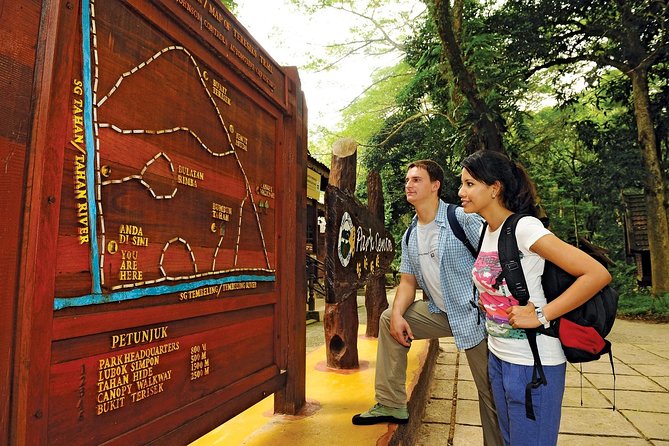 Amazing Taman Negara Day Trip from Kuala Lumpur Including Lunch - The early start and three-hour road journey