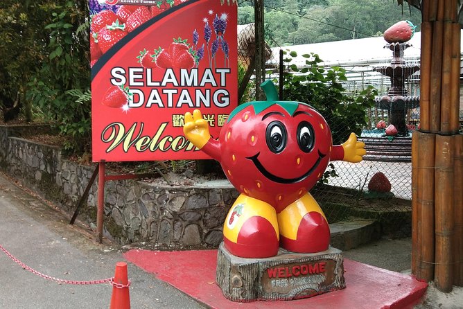 Batu Caves and Genting Highland Tour - Taking the Awana Skyway to Genting Highlands