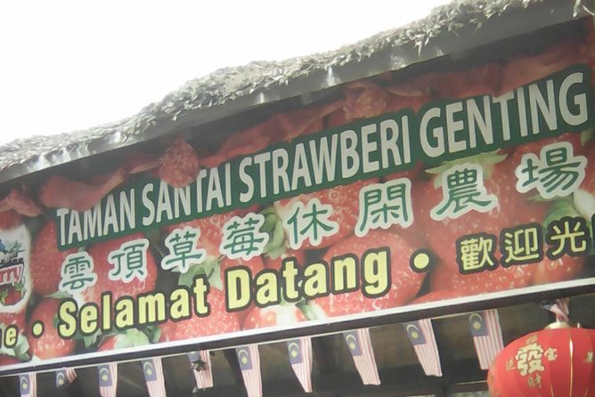 Batu Caves and Genting Highland Tour - What the private vehicle changes