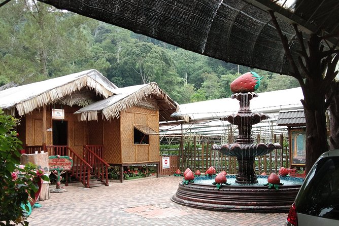 Batu Caves and Genting Highland Tour - Is $70.30 a fair price?