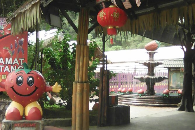 Batu Caves and Genting Highland Tour - A short stop at Genting Strawberry Leisure Farm