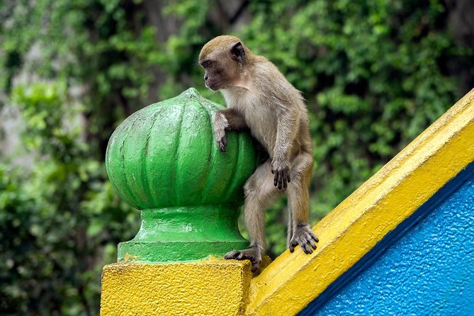 Batu Caves and Watching Fireflies in Kuala Selangor - A short visit to Sri Shakti Temple