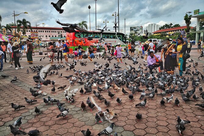 Batu Caves Twilight and Little India Evening Tour - Who will enjoy this evening most