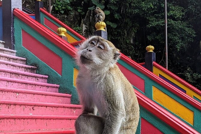 Batu Caves,Waterfalls and Hot Springs Tour With Lunch - Batik shows how Malaysian cloth is made
