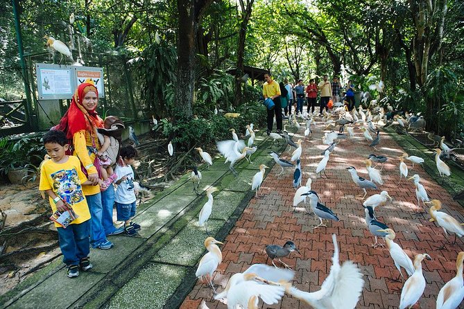 Bird Park & Butterfly Farm Nature Include All Entrance Tour From Kuala Lumpur - Orchid Garden: 800 varieties in a one-hectare setting