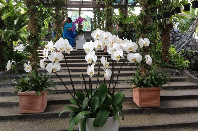 Bird Park & Butterfly Farm Nature Include All Entrance Tour From Kuala Lumpur - Who will enjoy this outing most?