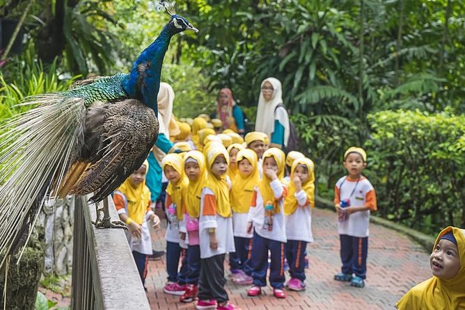 Bird Park & Butterfly Farm Nature Tour From Kuala Lumpur - Three nature attractions near Kuala Lumpur’s Lake Gardens