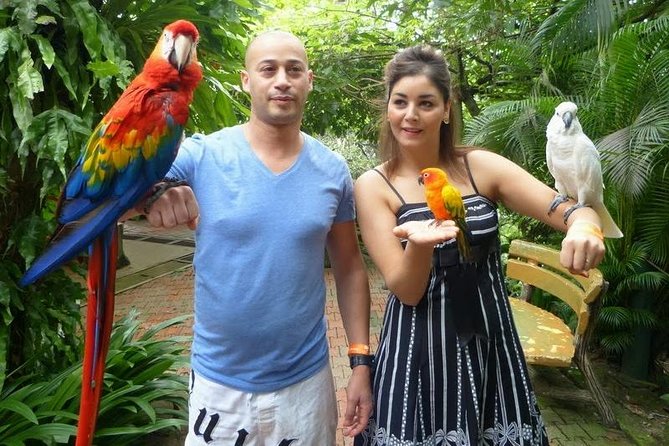Bird Park & Butterfly Farm Nature Tour From Kuala Lumpur - Taman Orkid: more than 800 orchid varieties