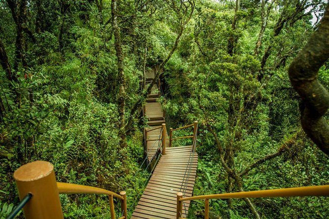 Cameron Highland Day Tour from Kuala Lumpur - Strawberry picking, butterflies, bees, and cacti
