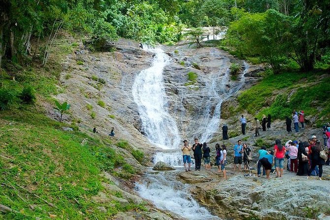 Cameron Highland Day Tour from Kuala Lumpur - What the private format really gives you