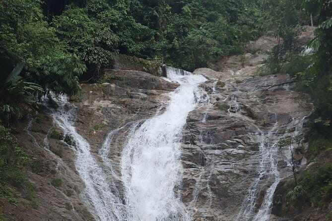 Cameron Highland Full Day Tour from KL City Private Tour - Why Cameron Highlands makes a worthwhile day trip