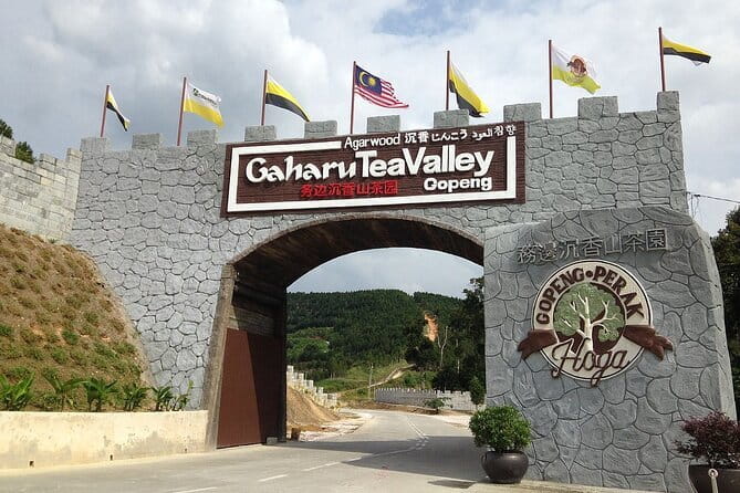 Cameron Highland Full Day Tour from KL City Private Tour - Vegetable farms and the local produce market