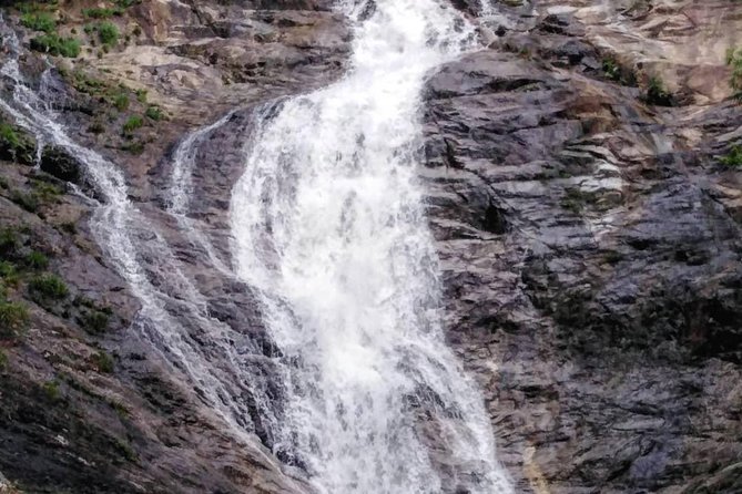 Cameron Highland Private Day Tour - Sam Poh Temple adds a change of pace