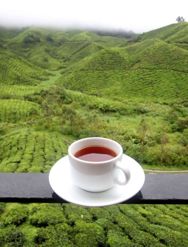 Cameron Highlands 1 Day Tour from Kuala Lumpur - Leaving Kuala Lumpur at 7 am