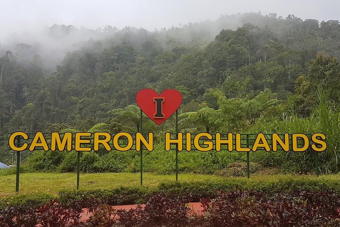 Cameron Highlands Amazing Day Trip Tour with Local Lunch - Leaving Kuala Lumpur for the Cameron Highlands