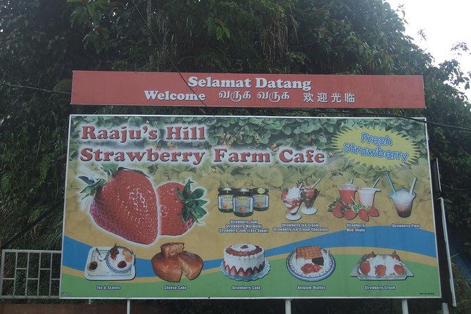 Cameron Highlands Amazing Day Trip Tour with Local Lunch - Butterfly Garden: small creatures and a change of pace