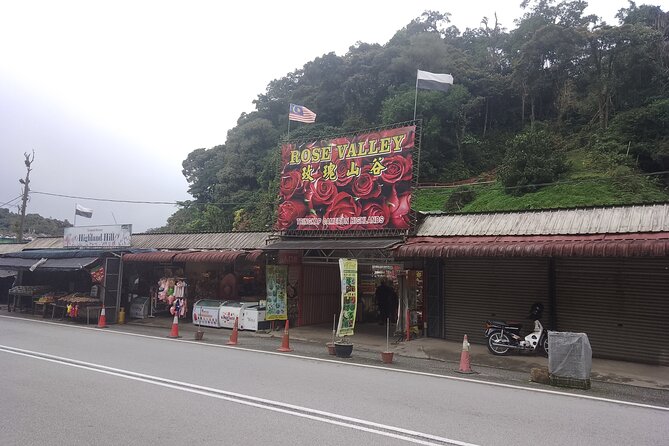 Cameron Highlands Day Trip - Bharat Tea introduces the highlands’ signature crop