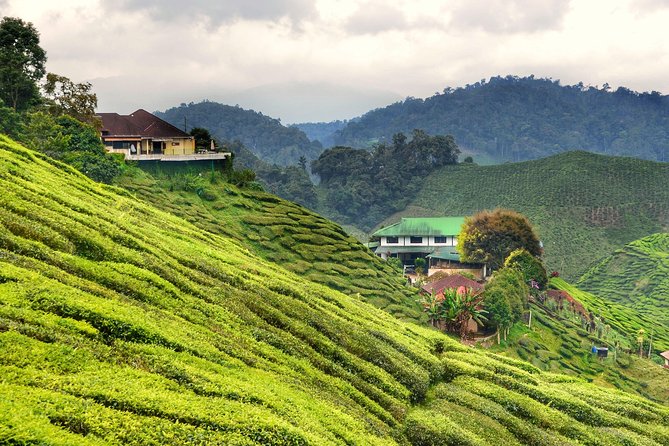 Cameron Highlands Full-Day Nature Tour - Lata Iskandar waterfall and roadside stalls