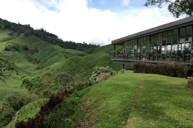 Cameron Highlands, Garden of Nature Full Day Private Guided Tour - Farms, flowers, and the produce stalls