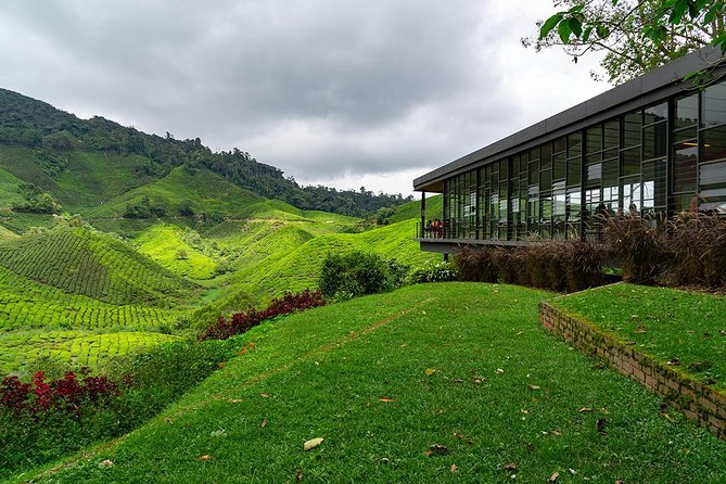 Cameron Highlands One Day Trip from Kuala Lumpur Privately Organised - Bharat Tea Estate and the first tea-country views
