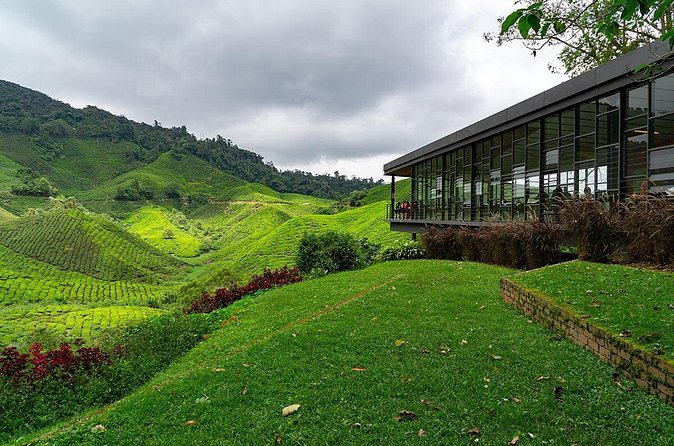 Cameron Highlands One Day Trip from Kuala Lumpur Privately Organised - Lunch, drinks, and what is included