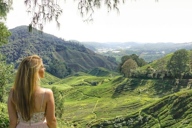 Cameron Highlands Tour from Kuala Lumpur - How much time do you really get at each stop?