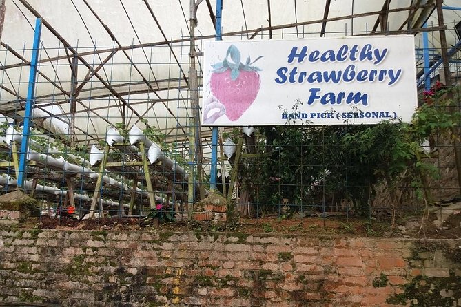 Cameron Highlands Tour From Kuala Lumpur (Private Tour) - Bee farms and what you can buy