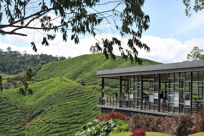 Cameron Highlands Tour From Kuala Lumpur (Private Tour) - Lata Iskandar and the climb into the hills