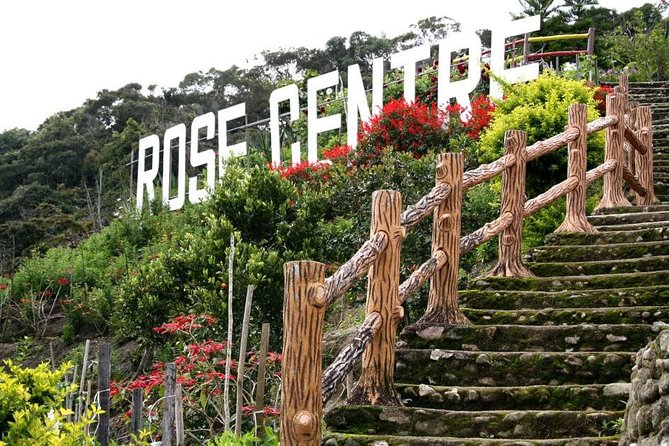 Cameron Highlands Tour on Private Basis - Lata Iskandar Waterfall and the road into the hills