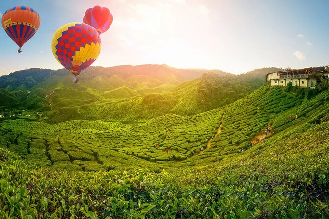 Day Trip to Cameron Highlands: Nature Escape from Kuala Lumpur - Why Cameron Highlands makes a strong day trip from Kuala Lumpur