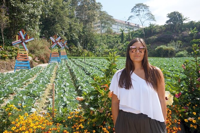 Elevate Your Senses: A Day of Wonders in Cameron Highlands! - Butterflies and insects in 30 minutes