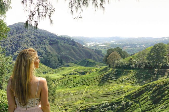 Explore Cameron Highlands: Full-Day Tour with Scenic Batu Caves - The 3.5-hour drive changes the pace