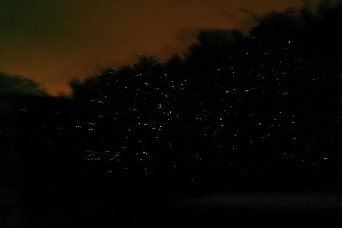 Fireflies & Silver leaf monkey Gazing tour - Who should book this outing?