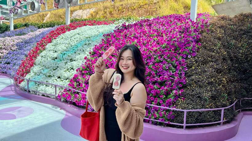From Kuala Lumpur: Cameron Highlands Day Tour with Lunch - Who should book this day tour?