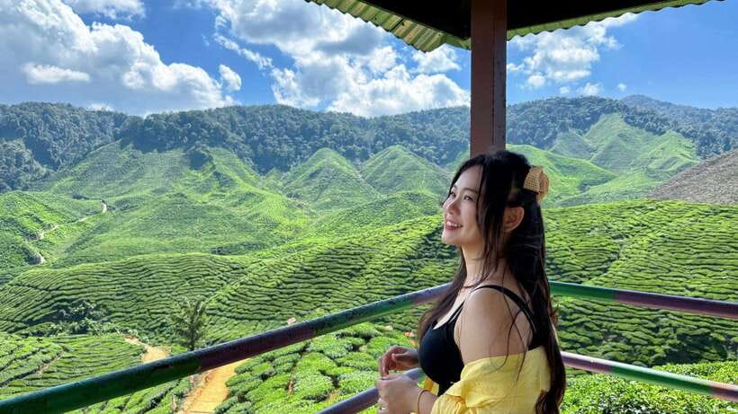 From Kuala Lumpur: Cameron Highlands Day Tour with Lunch - The winding road into the highlands
