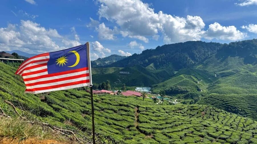 From Kuala Lumpur: Cameron Highlands Day Tour with Lunch - AGRO Market, Floral Park, and the farm stops
