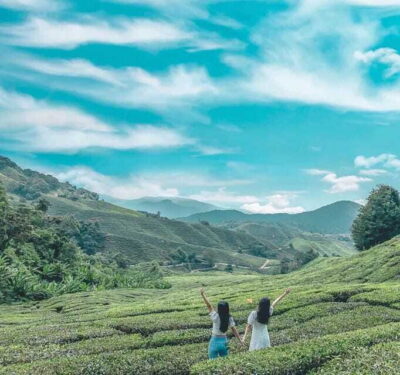 Cameron Highlands Day Trip with Transfers