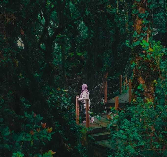 From Kuala Lumpur: Cameron Highlands Day Trip with Transfers - Roses, strawberries, and the commercial side of the highlands