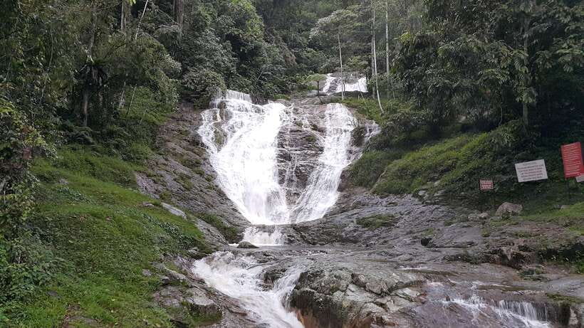 From Kuala Lumpur: Cameron Highlands Full-Day Tour - Butterfly Park, Kea Farm, and the smaller stops