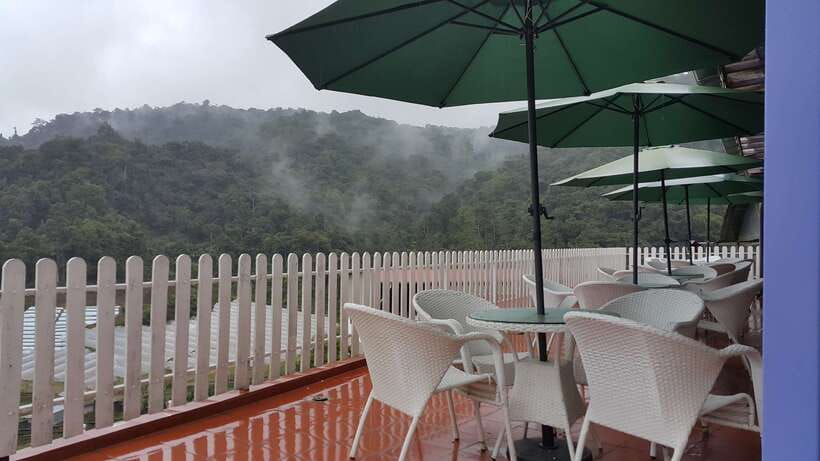 From Kuala Lumpur: Cameron Highlands Full-Day Tour - Lata Iskandar Waterfall: a good first pause